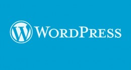 İçerik yönetim sistemi kullananların %83’ü WordPress altyapısını tercih etti