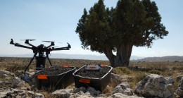 DHL Ormanı için son tohumlar drone’lardan atıldı
