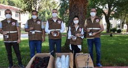 Rekolte kaybını önlemek için Akdeniz Meyve Sineği ile bölgesel mücadele çağrısı