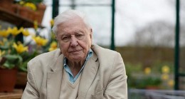 Sir David Attenborough ile Doğal Dünyanın Olağanüstü Seslerini Dinlemeye Davetlisiniz