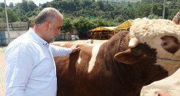 Canik Belediye Başkanı İbrahim Sandıkçı, Canik Hayvan Pazarı’nı ziyaret etti