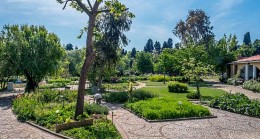 Her Derde Deva Zeytinburnu Tıbbi Bitkiler Bahçesi