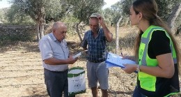 Milas Belediyesi Tarımsal Üretimi desteklemeye devam ediyor