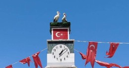 Can ve Canan Leylek Yuvalarına Geldi