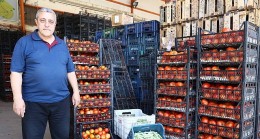 Alanya Toptancı Hali’nde sona yaklaşıldı