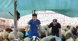Buca’da Kurban Bayramı öncesi sıkı denetim