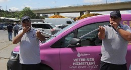 İBB boğa timi görev başında