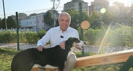 Nilüfer’de can dostlar yeni yuvalarına kavuştu
