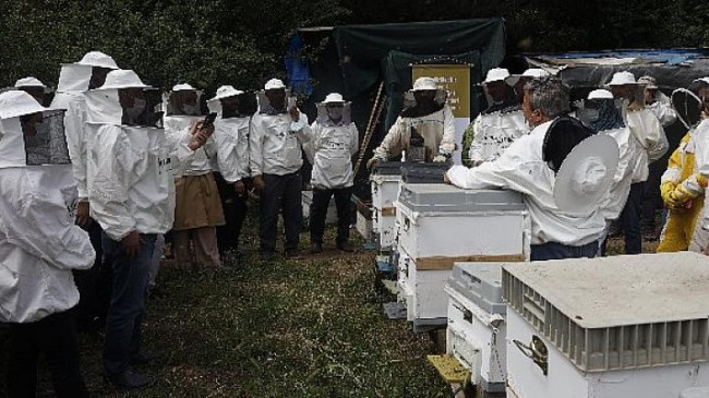 Balparmak Arıcılık Akademisi ile İstanbul İli Arı Yetiştiricileri Birliği İstanbul’a Yeni Arıcılar Kazandırdı