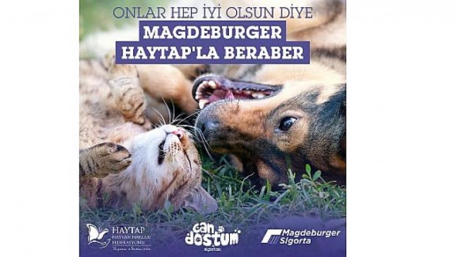 Magdeburger Sigorta, HAYTAP iş birliğiyle sahipsiz hayvanlara destek verecek