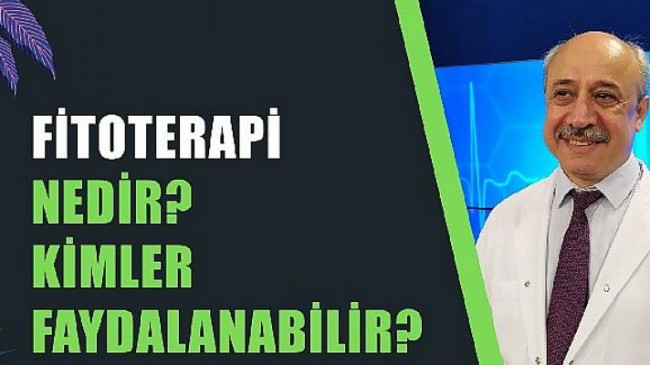 Fitoterapi Nedir?