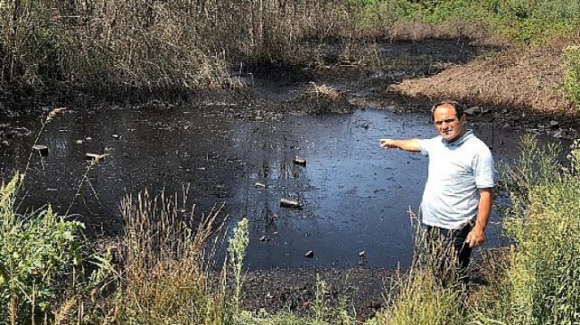 Sakarya’da çevre katliamı