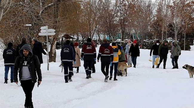 Van Büyükşehir Belediyesi Sokak Köpeklerini ‘Mikroçip’ İle Kayıt Altına Alıyor