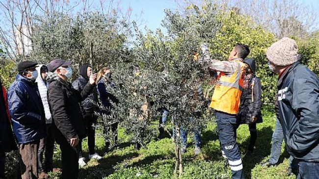 Büyükşehir’den üretime destek