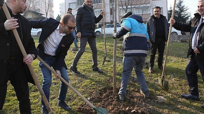 Fidanlar toprakla buluştu