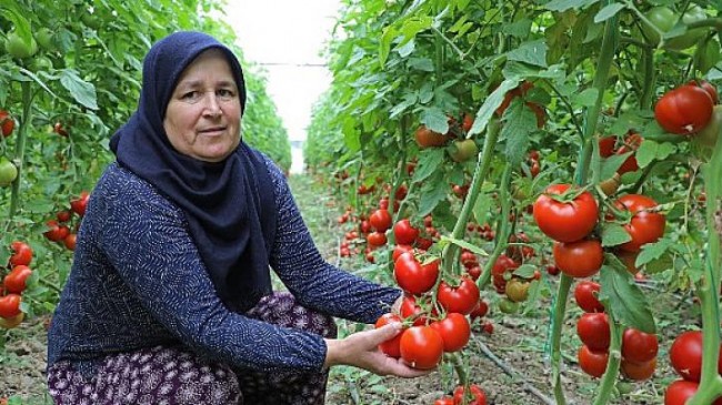 Büyükşehir’in sulama projesi  Manavgat’a hayat verdi