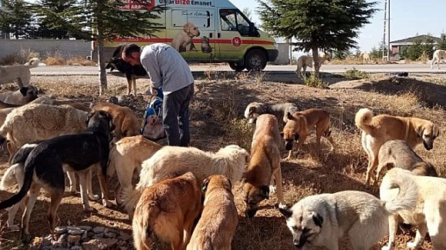 Şefkatli Ellerde Besleniyorlar