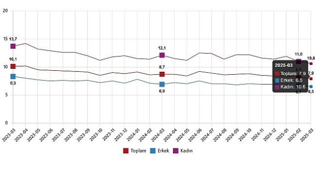 İşgücü İstatistikleri, Mart 2025