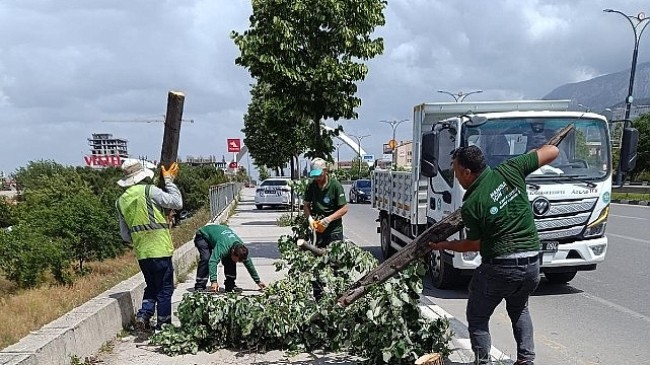 Fırtınanın Zarar Verdiği Ağaçlar Kaldırıldı