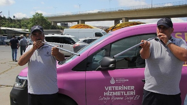 İBB boğa timi görev başında