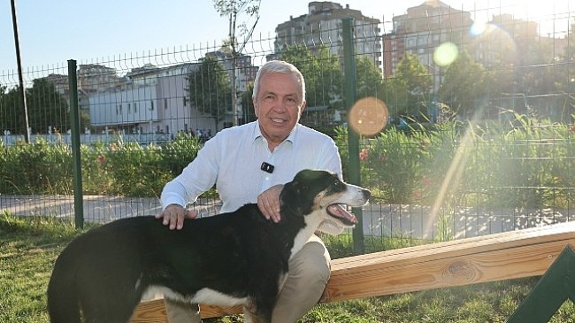 Nilüfer’de can dostlar yeni yuvalarına kavuştu