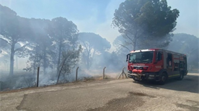 Bergama’da orman yangınına müdahale ediliyor