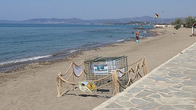 Menderes’te Caretta Caretta Heyecanı