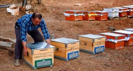 Aydın Büyükşehir Belediyesi’nden bal üreticilerine can suyu