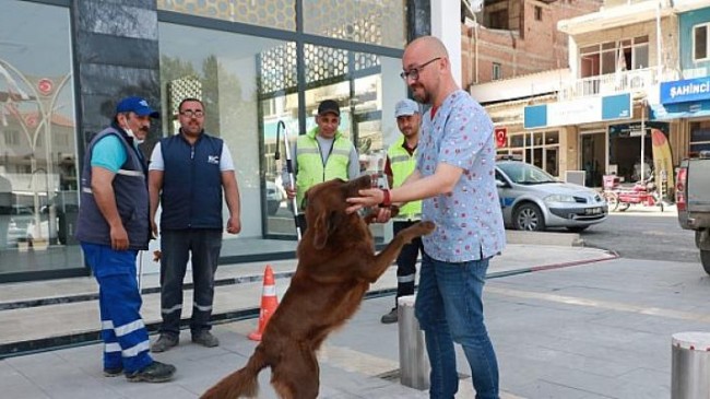 Aydın Büyükşehir Belediyesi, Koçarlı Belediyesi’yle Sokak Hayvanları İçin Ortak Çalışma Yapıyor