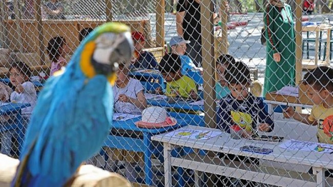 Antalya Hayvanat Bahçesi’nde minik öğrenciler için renkli etkinlik