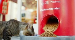 Vodafone Her Şey Yanımda’dan Pet Shop Alışverişi Sokak Hayvanları İçin Mamaya Dönüşüyor