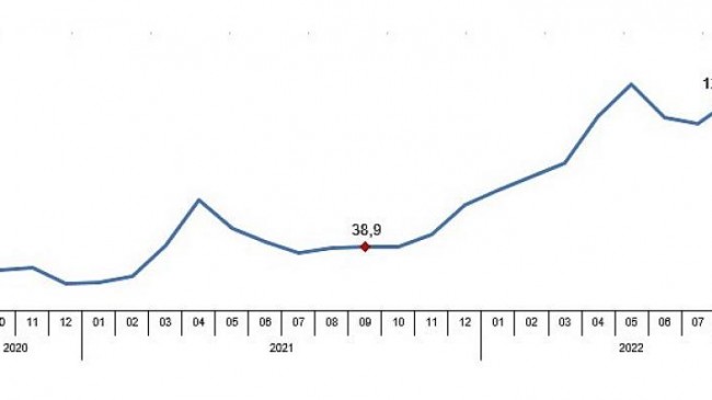 TÜİK Perakende satış hacmi yıllık yüzde 9,7 arttı