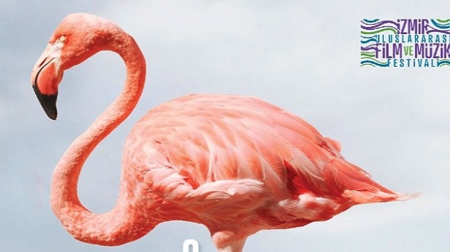 Kristal Flamingolar üçüncü kez sahiplerini bulacak