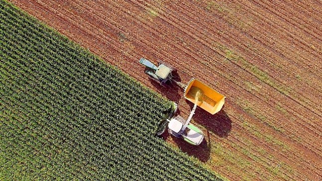Türkiye Kalkınma ve Yatırım Bankası'ndan   Tarım ve Gıda Üretim Sektörlerine   50 Milyon Dolarlık Kredi İmkânı