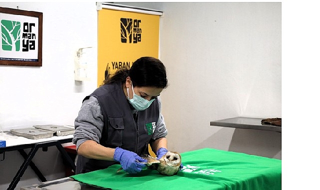 bu-merkez-yaban-hayvanlarina-umut-oluyor.jpg