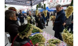 8-karaburun-nergis-festivali-basladi.jpg