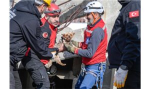 afetzede-hayvanlar-icin-ilcelere-arama-kurtarma-egitimi.jpg