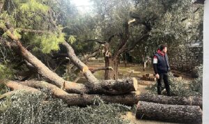siddetli-firtina-nedeniyle-yasanan-olumsuz-durumlara-milas-belediyesi-aninda-mudahale-etti.jpg