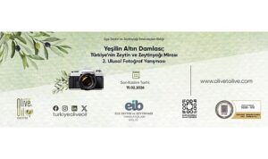zeytinin-hikayesi-fotografla-anlatiliyor-yesilin-altin-damlasi-2-basladi.jpg