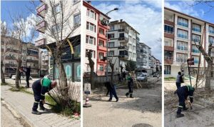 agac-budama-calismalari-suruyor.jpg