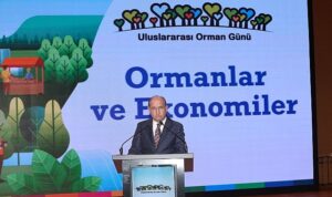 ormanlarin-ekonomik-gucune-dikkat-cekildi.jpg
