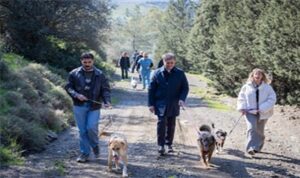 barinaklardan-3-binin-uzerinde-hayvan-sahiplendirildi.jpg