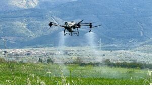 baskan-cercioglunun-tarima-ve-ureticilere-destekleri-suruyor-tarlalar-drone-ile-ucretsiz-gubreleniyor.jpg