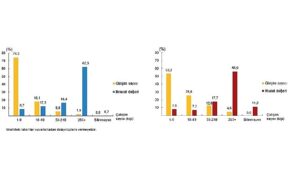 girisim-ozelliklerine-gore-uluslararasi-hizmet-ticareti-istatistikleri-2024.jpg