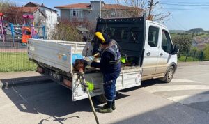 kandirada-ot-bicme-ve-ilaclama-seferberligi.jpg