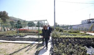 karsiyaka-belediyesi-uretiyor-parklar-cicek-aciyor.jpg