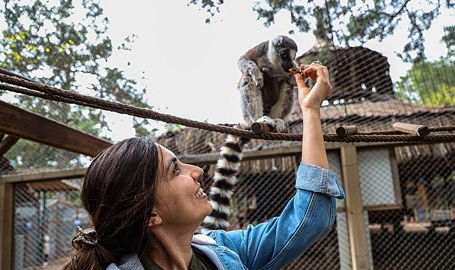 antalya-dogal-yasam-parkinda-yavru-lemur-sevinci.jpg