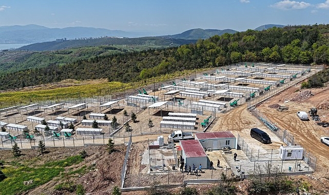buyuksehirden-sahipsiz-kopeklere-yeni-yuva.jpg