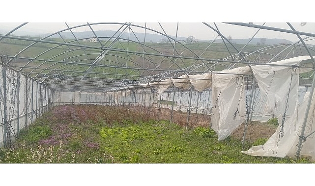 buyuksehirden-seralari-zarar-goren-ureticilere-destek.jpg
