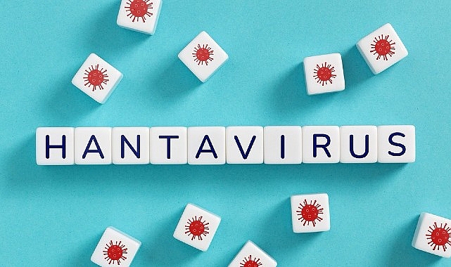 hantavirusun-insandan-insana-yayilim-riski-dusuk.jpg